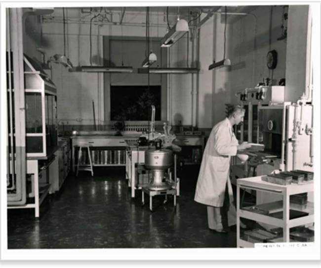 our beginning